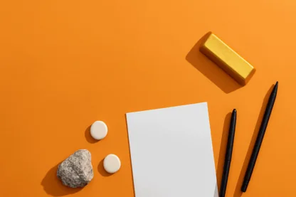 Previous Article Image