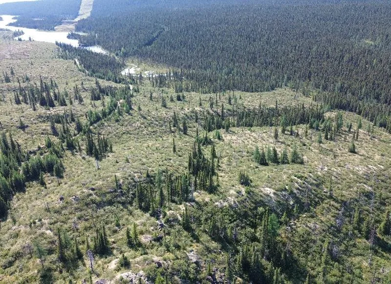 Drone footage of Proposed Processing Plant Site. Image 2 – Field team accessing survey area