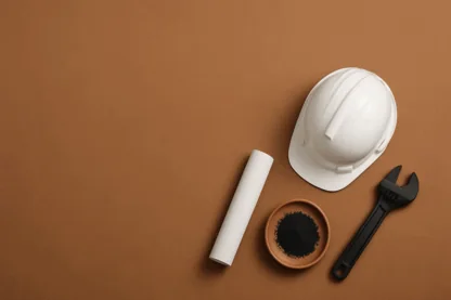 Previous Article Image