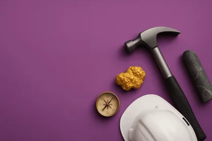 Previous Article Image