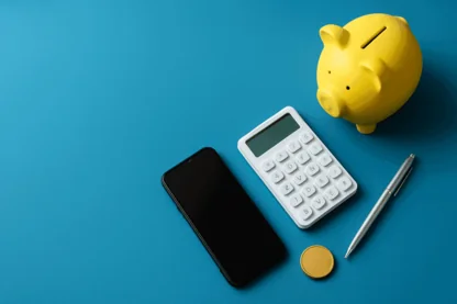 Previous Article Image