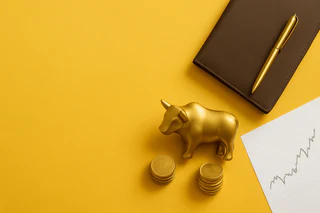Ironbark Capital Posts 17.6% Profit Rise, Boosts Fully Franked Dividends