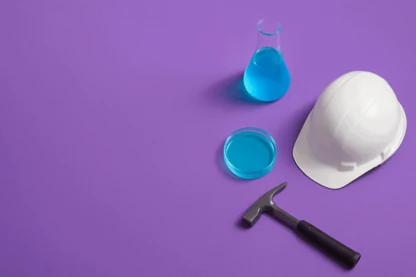 Previous Article Image