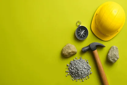 Previous Article Image