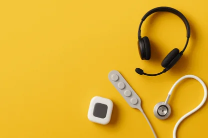 Previous Article Image