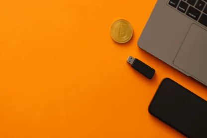 Previous Article Image