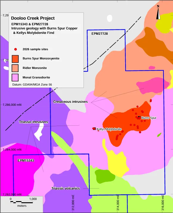 Rock chip sample locations showing relevant intrusive centres as mapped at the Burns Spur area, Ridler Creek