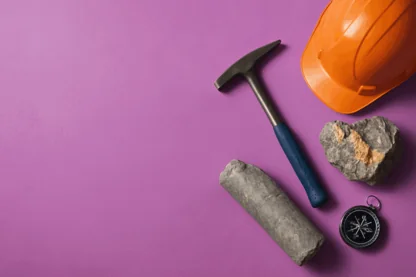 Previous Article Image