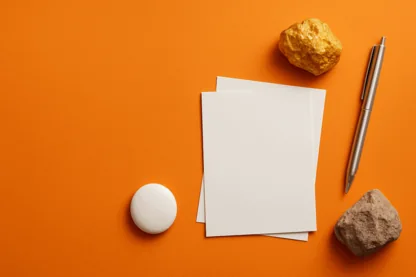 Previous Article Image