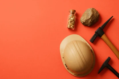 Previous Article Image