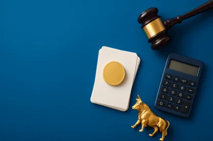 Previous Article Image