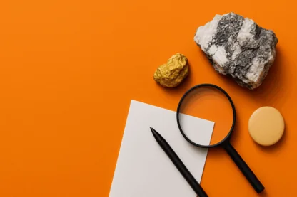 Previous Article Image