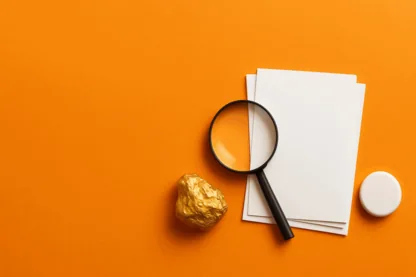 Previous Article Image