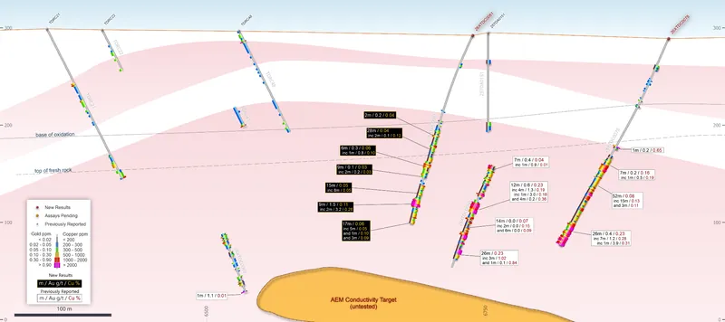 Diagram from Antipa Minerals Limited’s announcement “Thick High-Grade Gold intercepts returned at Minyari Deposit”