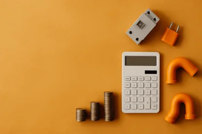 Why Is IPD Group Bracing for Earnings Decline Despite Revenue Gains?