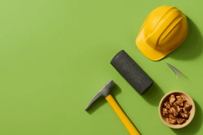 Previous Article Image