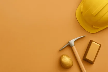 Previous Article Image