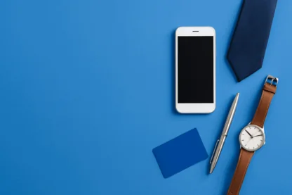 Previous Article Image