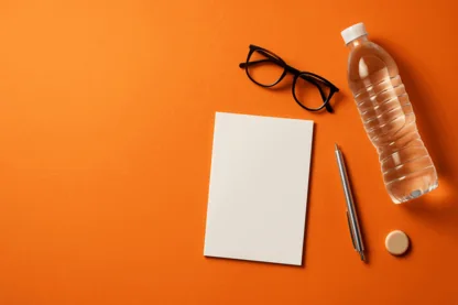 Previous Article Image