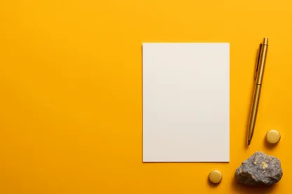 Previous Article Image