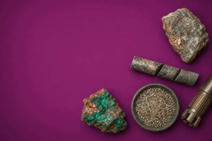 Previous Article Image