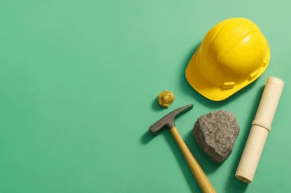 Previous Article Image