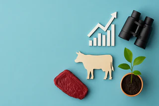 AACo Delivers Record HY26 Profit, Expands Global Reach and Sustainability Drive