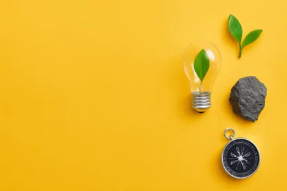 Previous Article Image