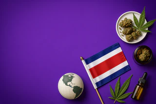 Bioxyne Breaks New Ground with First Medicinal Cannabis Flower Supply to Costa Rica