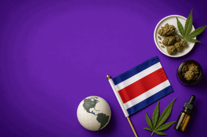 Bioxyne Breaks New Ground with First Medicinal Cannabis Flower Supply to Costa Rica
