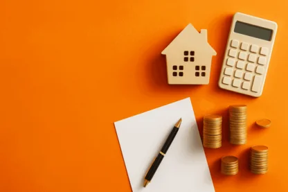 Previous Article Image