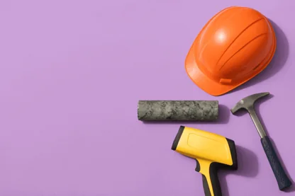 Previous Article Image