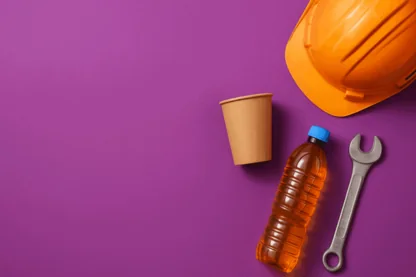 Previous Article Image