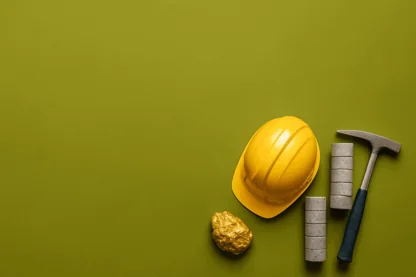 Previous Article Image