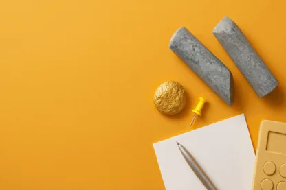 Previous Article Image