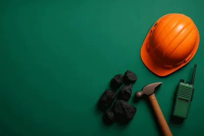 Previous Article Image