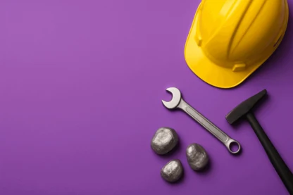 Previous Article Image