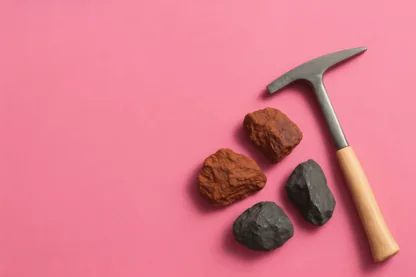 Previous Article Image