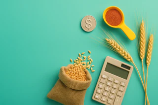 GrainCorp Boosts Revenue 21% and Raises Dividend Amid Supply Chain Investments