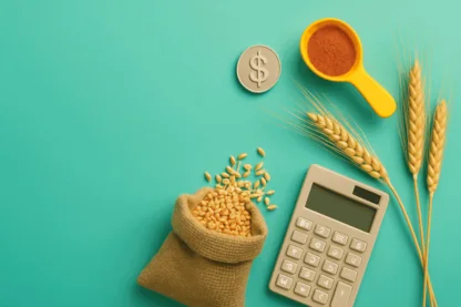 Previous Article Image