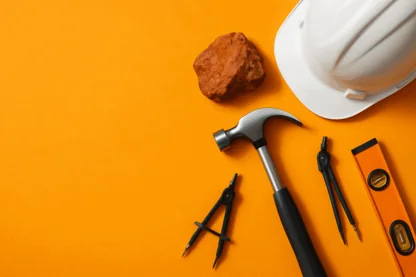 Previous Article Image