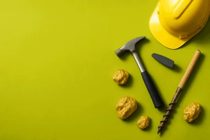 Previous Article Image