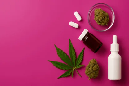 Previous Article Image