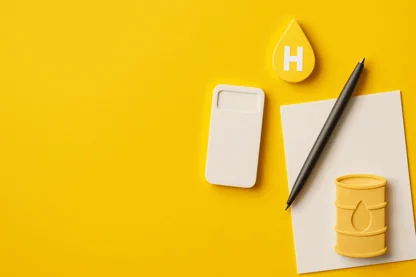 Previous Article Image