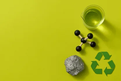 Previous Article Image