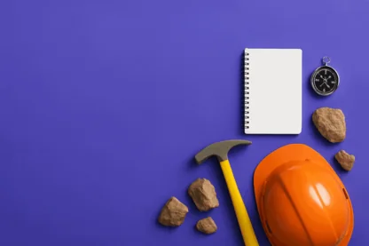 Previous Article Image