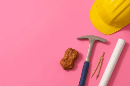 Previous Article Image