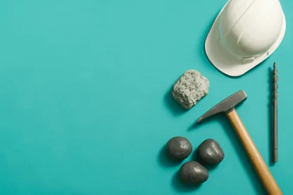 Previous Article Image