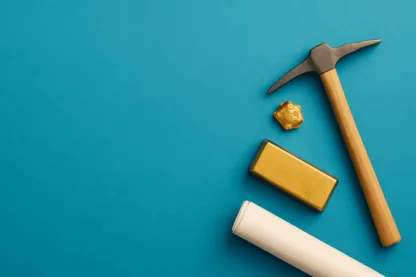 Previous Article Image