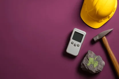 Previous Article Image